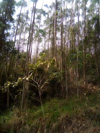 Imagem Terreno à Venda, 1 m² em Parque Santo Antônio - Jacareí Imagem Terreno à Venda, 1 m² em Parque Santo Antônio - Jacareí