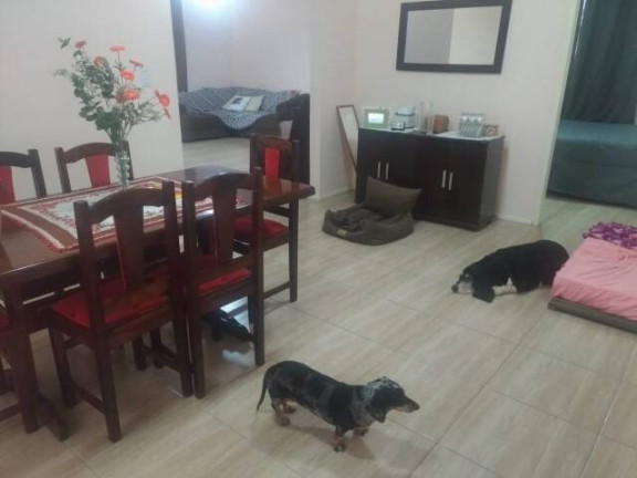 Imagem Casa com 2 Quartos à Venda, 1.273 m² em águas Claras - Viamão