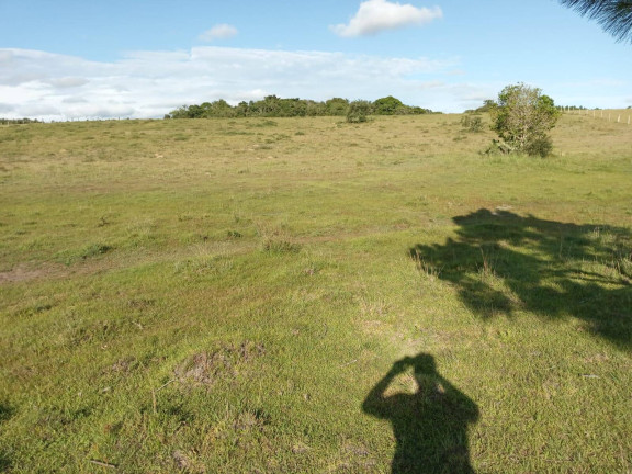 Imagem Chácara à Venda, 60.000 m² em Capão Da Porteira - Viamão