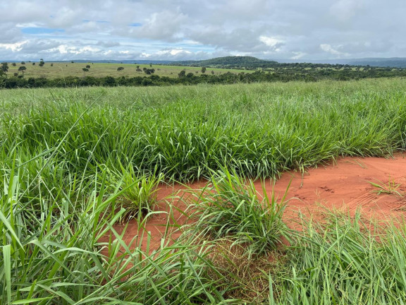 Imagem Imóvel à Venda, 128 m² em Area Rural De Cassilandia - Cassilandia Imagem Imóvel à Venda, 128 m² em Area Rural De Cassilandia - Cassilandia