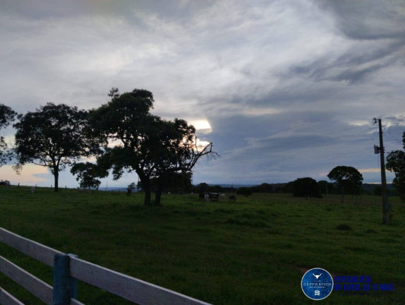 Imagem Fazenda à Venda, 187 m² em Zona Rural - Mineiros Imagem Fazenda à Venda, 187 m² em Zona Rural - Mineiros