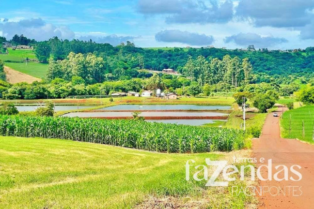 Imagem Fazenda à Venda, 187.200 m² em Vila Nova - Toledo Imagem Fazenda à Venda, 187.200 m² em Vila Nova - Toledo