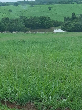 Imagem Imóvel com 7 Quartos à Venda,  em Campinápolis/mt - Campinápolis