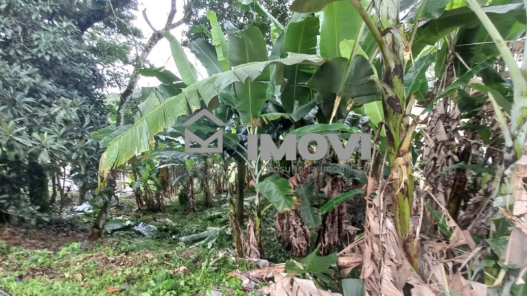 Imagem Terreno à Venda, 1.165 m² em Centro - Domingos Martins Imagem Terreno à Venda, 1.165 m² em Centro - Domingos Martins