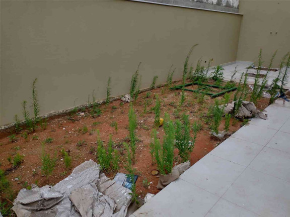 Imagem Casa com 5 Quartos à Venda, 400 m² em Aruã - Mogi Das Cruzes Imagem Casa com 5 Quartos à Venda, 400 m² em Aruã - Mogi Das Cruzes