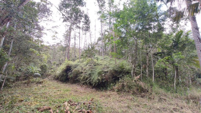Imagem Imóvel com 3 Quartos à Venda,  em Arataca - São João Batista