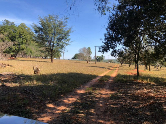 Imagem Imóvel à Venda, 41 m² em área Rural De Paulistânia - Paulistânia Imagem Imóvel à Venda, 41 m² em área Rural De Paulistânia - Paulistânia