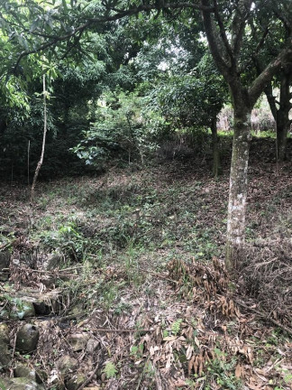 Imagem Imóvel à Venda, 1.200 m² em Campo Grande - Rio De Janeiro Imagem Imóvel à Venda, 1.200 m² em Campo Grande - Rio De Janeiro
