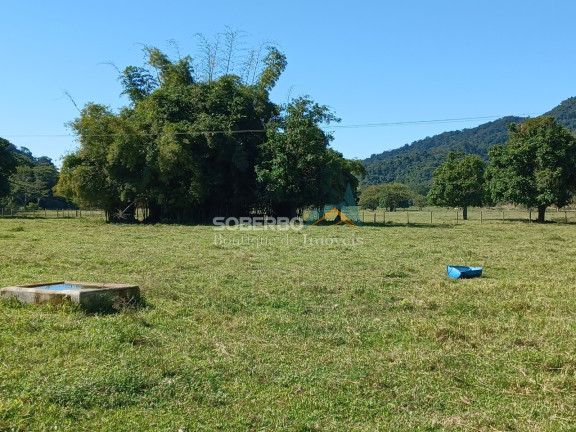 Imagem Imóvel com 8 Quartos à Venda, 6.000.000 m² em Gaviões - Silva Jardim Imagem Imóvel com 8 Quartos à Venda, 6.000.000 m² em Gaviões - Silva Jardim