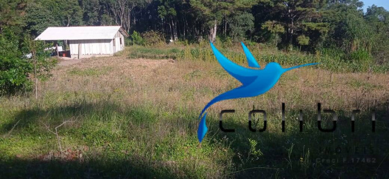 Imagem Chácara com 2 Quartos à Venda, 6.655 m² em Taboão - Agudos Do Sul Imagem Chácara com 2 Quartos à Venda, 6.655 m² em Taboão - Agudos Do Sul