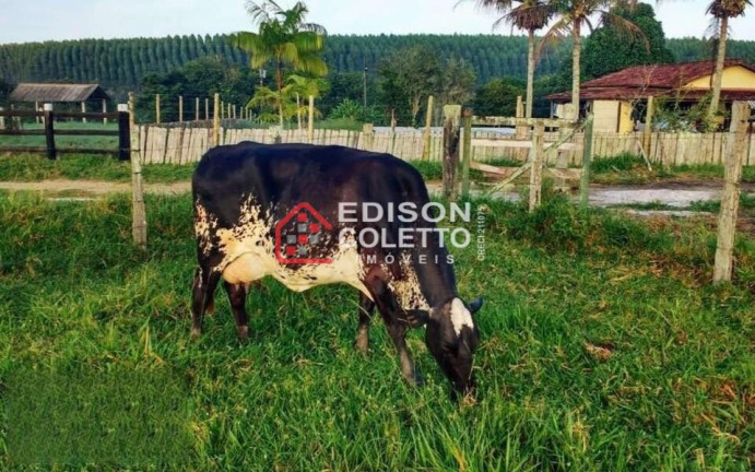 Imagem Fazenda à Venda, 6.000.000 m² em Centro - Itamaraju
