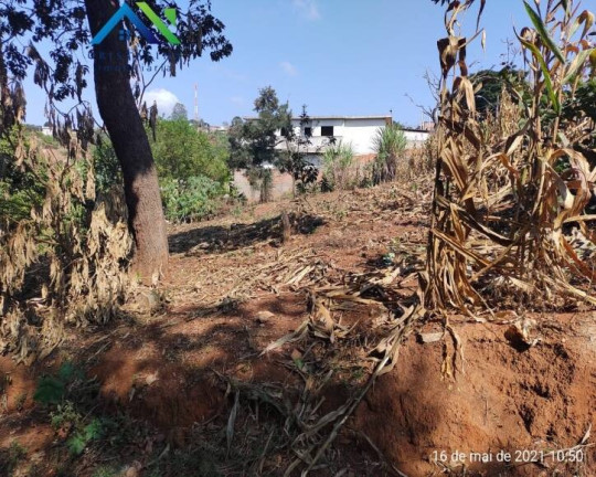 Imagem Terreno à Venda, 250 m² em Nova Trieste - Jarinu Imagem Terreno à Venda, 250 m² em Nova Trieste - Jarinu