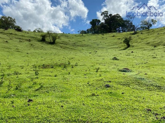 Imagem Chácara com 10 Quartos à Venda, 245.000 m² em Centro - Piracaia