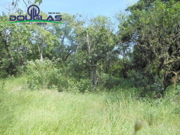 Imagem Imóvel Comercial à Venda, 13 m² em Viamão
