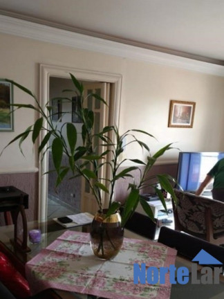 Imagem Apartamento com 3 Quartos à Venda, 73 m² em Vila Guilherme - São Paulo Imagem Apartamento com 3 Quartos à Venda, 73 m² em Vila Guilherme - São Paulo