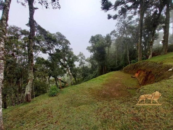 Imagem Terreno em Condomínio à Venda, 1.000 m² em Alto Boa Vista - Campos Do Jordão Imagem Terreno em Condomínio à Venda, 1.000 m² em Alto Boa Vista - Campos Do Jordão