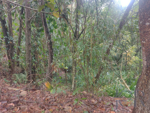 Imagem Terreno em Condomínio à Venda, 600 m² em Colinas De São Fernando - Cotia