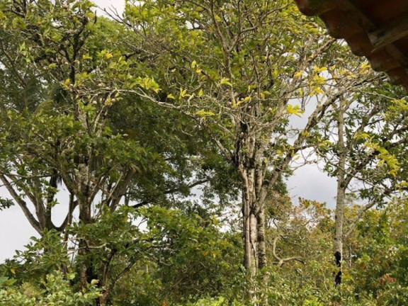 Imagem Fazenda à Venda, 180 m² em Santo Antônio - Candeias Imagem Fazenda à Venda, 180 m² em Santo Antônio - Candeias