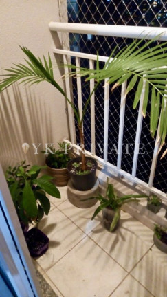 Imagem Apartamento com 3 Quartos à Venda, 77 m² em Jardim Flor Da Montanha - Guarulhos