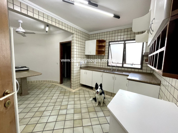 Imagem Imóvel com 3 Quartos à Venda, 159 m² em Centro - Ribeirão Preto Imagem Imóvel com 3 Quartos à Venda, 159 m² em Centro - Ribeirão Preto