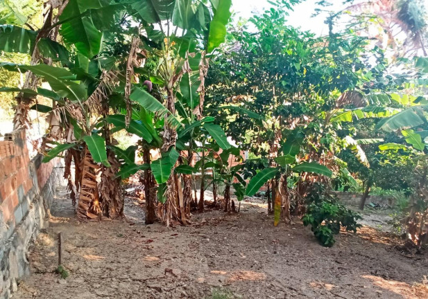 Imagem Casa com 2 Quartos à Venda, 1.054 m² em Santa Isabel - São Gonçalo Imagem Casa com 2 Quartos à Venda, 1.054 m² em Santa Isabel - São Gonçalo