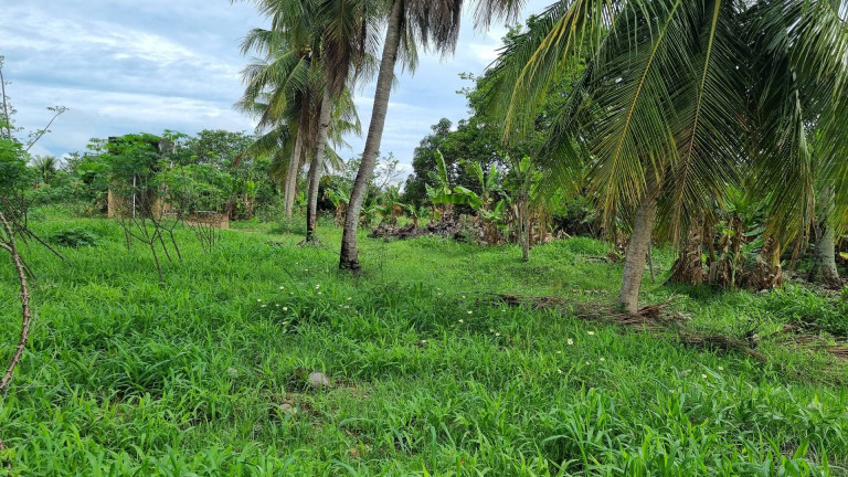 Imagem Terreno à Venda, 12.182 m² em Camará - Aquiraz