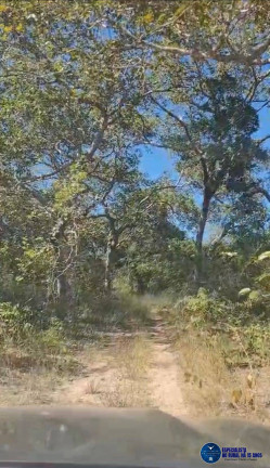 Imagem Fazenda à Venda, 774 m² em Zona Rural - Cocalinho Imagem Fazenda à Venda, 774 m² em Zona Rural - Cocalinho