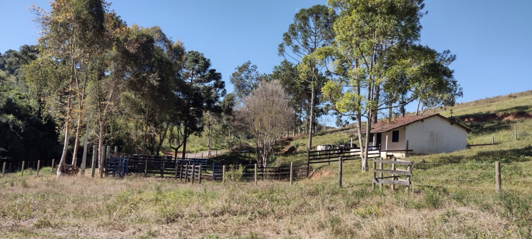 Imagem Chácara com 3 Quartos à Venda, em Curralinho - Lagoinha Imagem Chácara com 3 Quartos à Venda, em Curralinho - Lagoinha