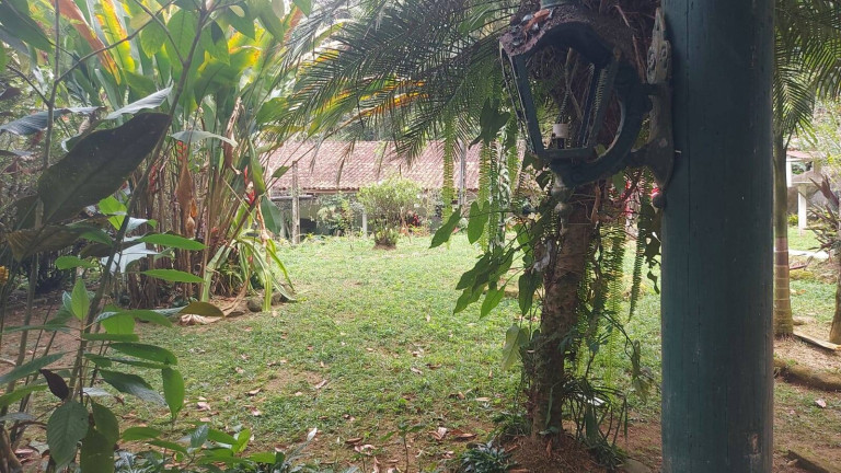 Imagem Chácara com 5 Quartos à Venda, 5.000 m² em Horto Florestal - Ubatuba Imagem Chácara com 5 Quartos à Venda, 5.000 m² em Horto Florestal - Ubatuba