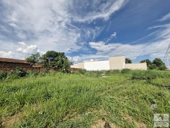 Imagem Terreno à Venda, 557 m² em Independência - 2º Complemento - Aparecida De Goiânia Imagem Terreno à Venda, 557 m² em Independência - 2º Complemento - Aparecida De Goiânia