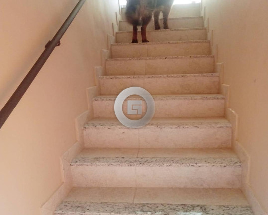 Imagem Imóvel com 6 Quartos à Venda, 100 m² em Br 135 - Montes Claros Imagem Imóvel com 6 Quartos à Venda, 100 m² em Br 135 - Montes Claros