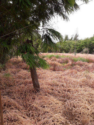 Imagem Imóvel com 7 Quartos à Venda, 10.000 m² em Distrito Vila Almeida - Jaboticatubas Imagem Imóvel com 7 Quartos à Venda, 10.000 m² em Distrito Vila Almeida - Jaboticatubas