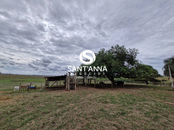 Imagem Chácara com 2 Quartos à Venda, 96 m² em Rural - Macedônia Imagem Chácara com 2 Quartos à Venda, 96 m² em Rural - Macedônia