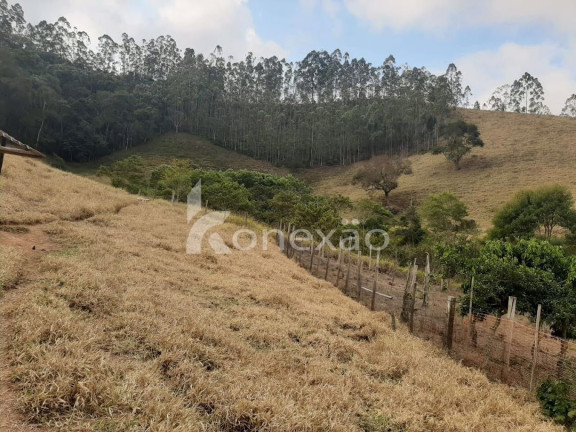 Imagem Chácara com 1 Quarto à Venda, 70 m² em Lagoa - Paraibuna