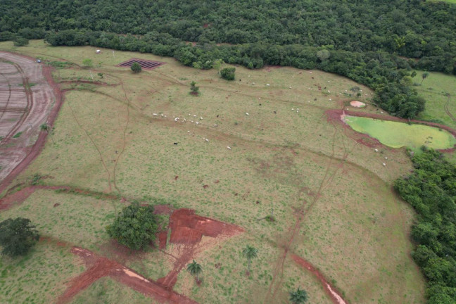 Imagem Fazenda à Venda, 70 m² em Zona Rural - Prata Imagem Fazenda à Venda, 70 m² em Zona Rural - Prata