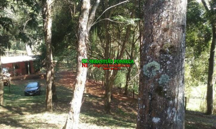 Imagem Chácara com 4 Quartos à Venda, 3 m² em São Francisco Xavier - São José Dos Campos Imagem Chácara com 4 Quartos à Venda, 3 m² em São Francisco Xavier - São José Dos Campos