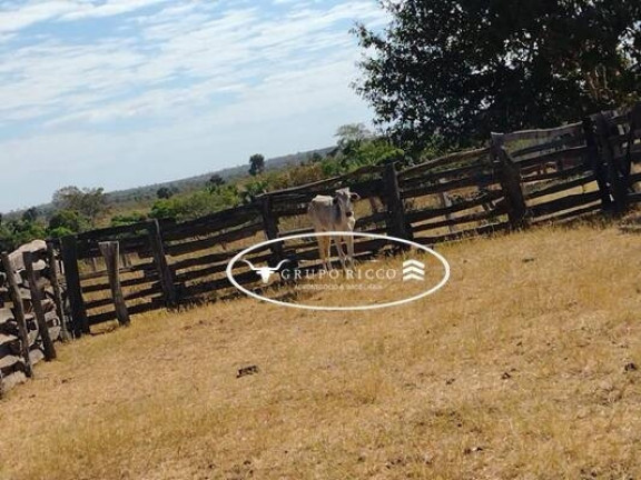 Imagem Fazenda à Venda, 350 m² em Centro - Novo São Joaquim Imagem Fazenda à Venda, 350 m² em Centro - Novo São Joaquim