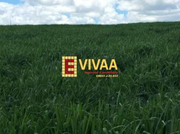 Imagem Fazenda à Venda, 21 m² em Novo São Joaquim