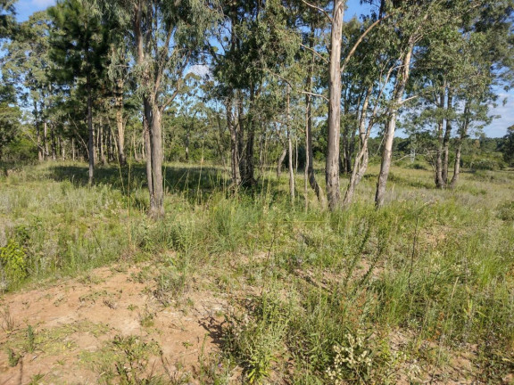 Imagem Terreno à Venda, 20.000 m² em Alto Perequê - Arroio Do Padre