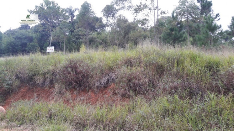 Imagem Terreno à Venda, 1.545 m² em Alto Da Serra - São Roque Imagem Terreno à Venda, 1.545 m² em Alto Da Serra - São Roque