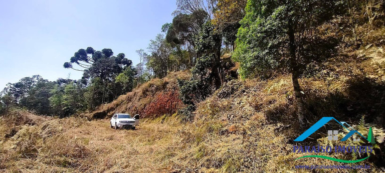 Imagem Chácara à Venda, 49 m² em Centro - Gonçalves
