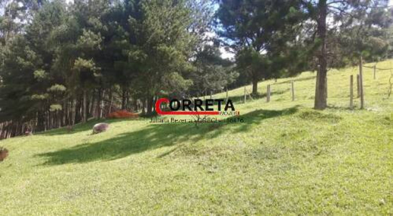 Imagem Casa com 3 Quartos à Venda, 170 m² em Carmo Messias - Ibiúna Imagem Casa com 3 Quartos à Venda, 170 m² em Carmo Messias - Ibiúna