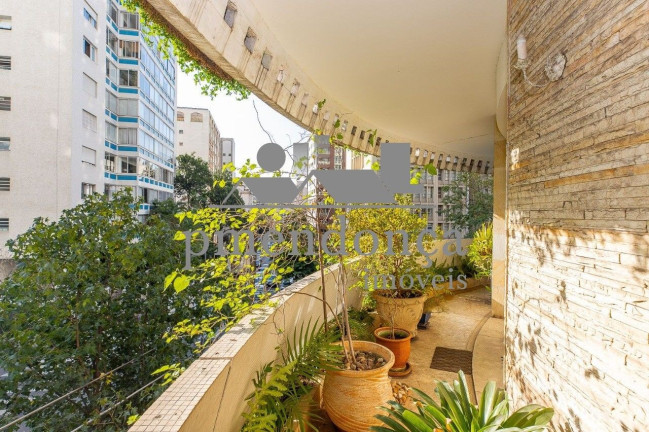 Imagem Apartamento com 4 Quartos à Venda, 500 m² em Higienópolis - São Paulo Imagem Apartamento com 4 Quartos à Venda, 500 m² em Higienópolis - São Paulo
