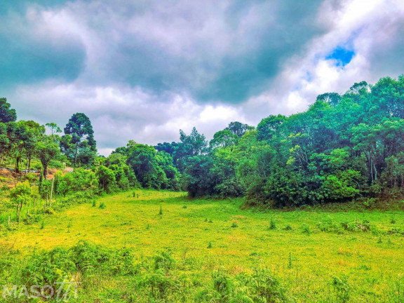 Imagem Chácara à Venda, 70.000 m² em Serra Grande Alemã - Gramado Imagem Chácara à Venda, 70.000 m² em Serra Grande Alemã - Gramado