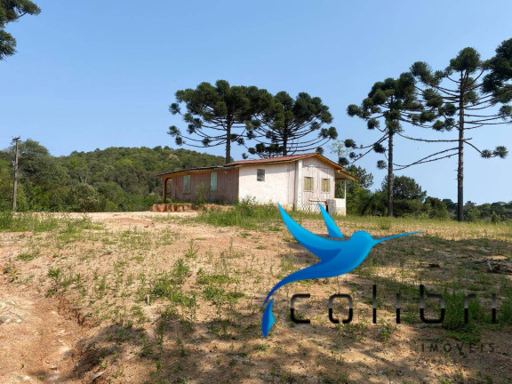 Imagem Terreno à Venda, 2.707 m² em Leão - Agudos Do Sul Imagem Terreno à Venda, 2.707 m² em Leão - Agudos Do Sul