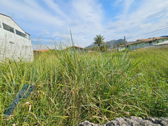 Imagem Terreno à Venda, 750 m² em Praia Grande - Ubatuba