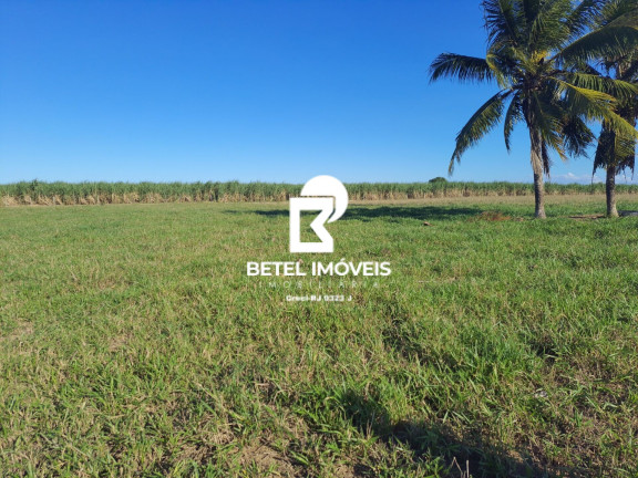 Imagem Terreno à Venda, 2.000 m² em Bom Jardim - São Francisco De Itabapoana Imagem Terreno à Venda, 2.000 m² em Bom Jardim - São Francisco De Itabapoana