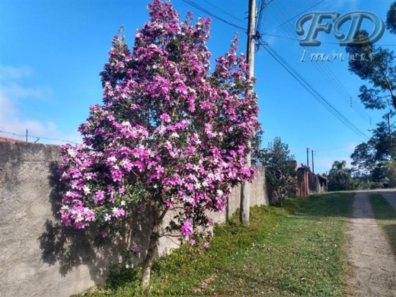 Imagem Chácara com 4 Quartos à Venda, 2.400 m² em Portão - Atibaia Imagem Chácara com 4 Quartos à Venda, 2.400 m² em Portão - Atibaia
