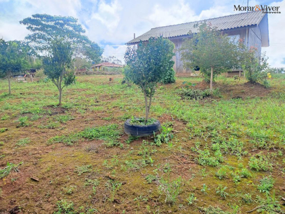Imagem Chácara à Venda, 3.000 m² em Campestre Da Faxina - São José Dos Pinhais