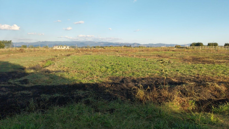 Chácara à Venda, 1.000 m² em Colméia - Pindamonhangaba